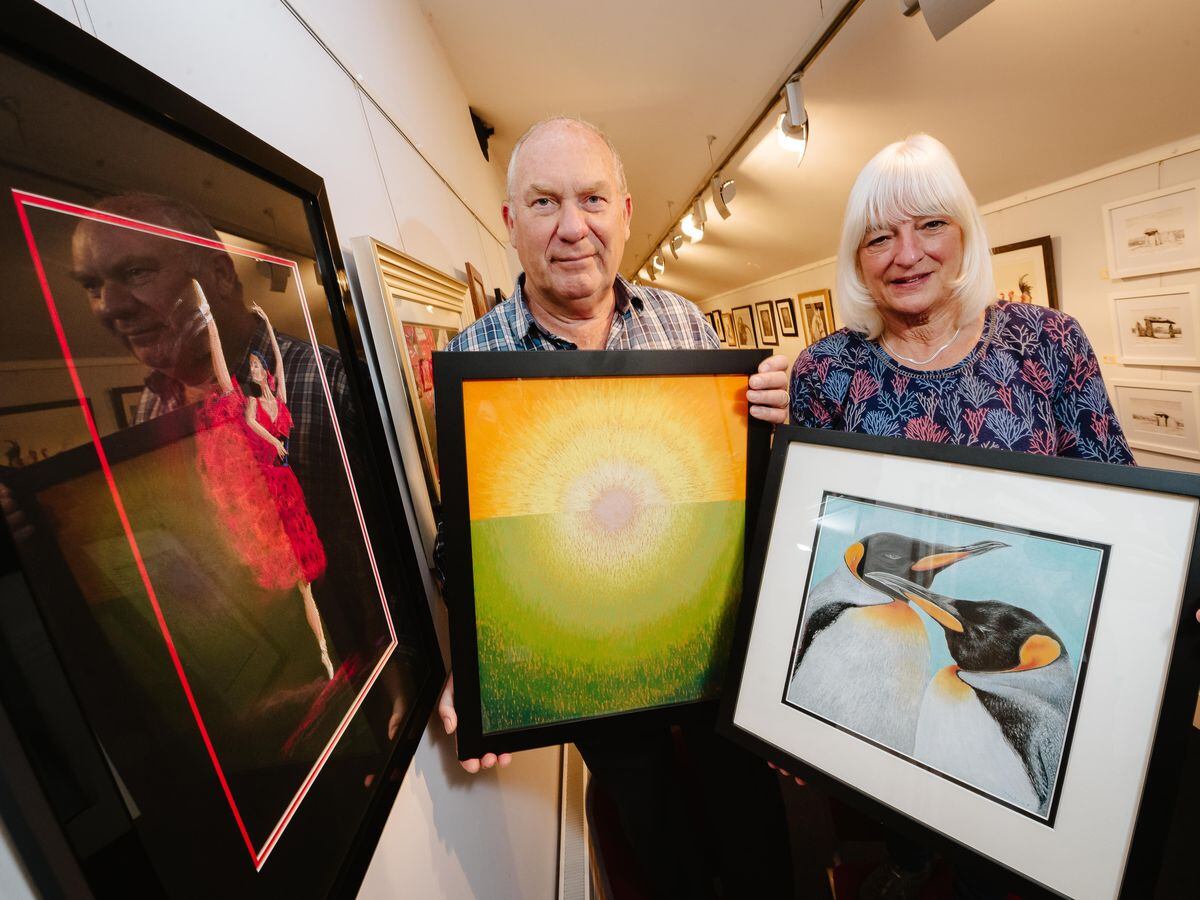 Award winning artist exhibits at Festival Drayton Centre | Shropshire Star
