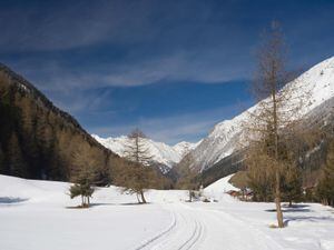 Avalanches kill nine in Italy and Austria as heavy snow hits Alps