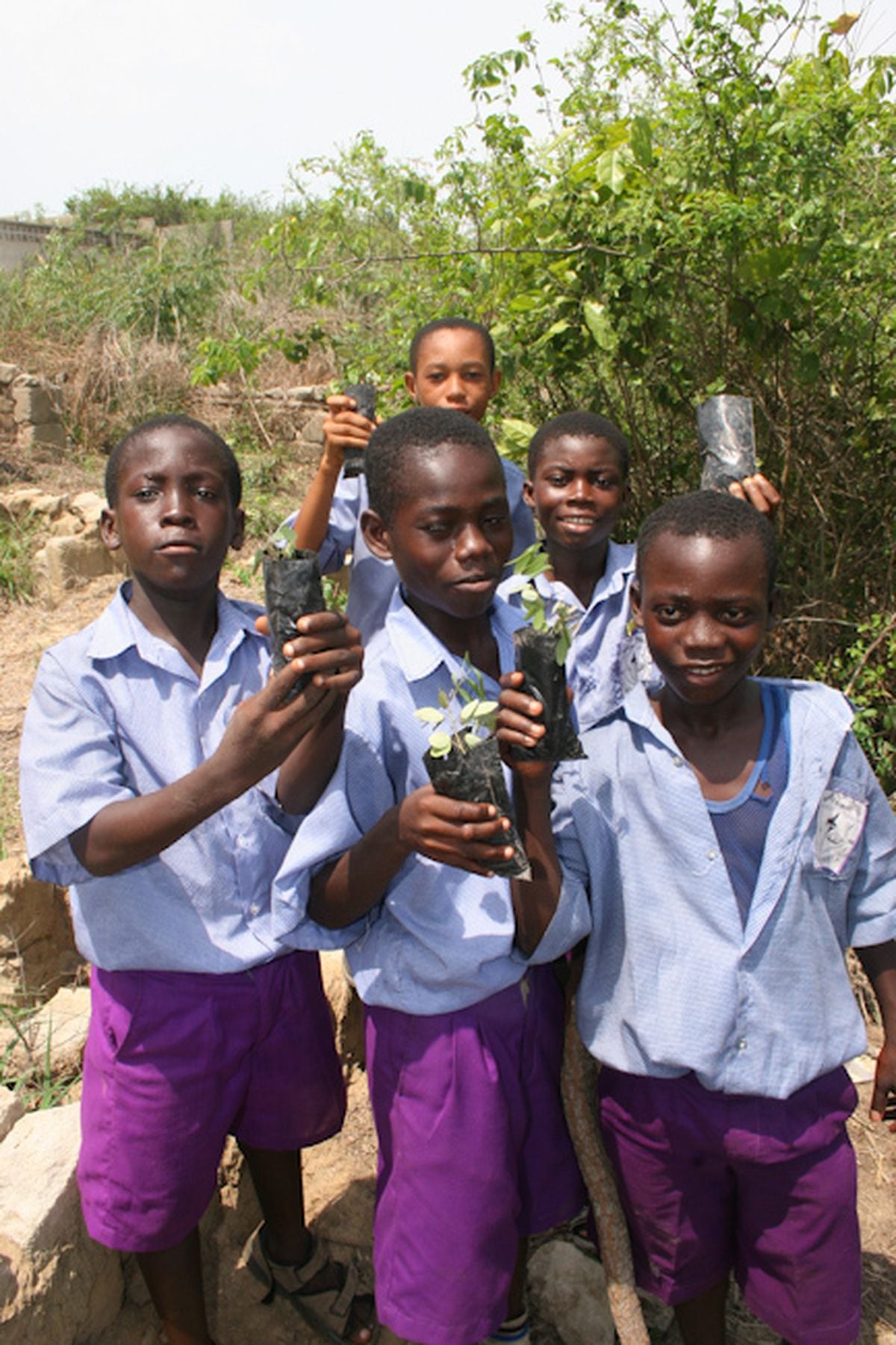 The Tree Appeal aims to support school communities throughout the UK, as well as forest regeneration projects in Kenya