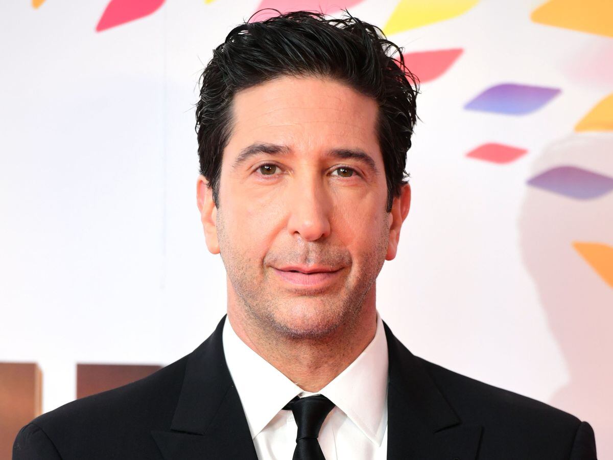 David Schwimmer pays tribute to genocide victims on Holocaust Memorial ...