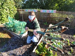 Tending the Incredible Edible plot during the pandemic was Becca Lewis, at Jubilee Square, Wem