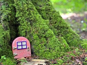 One of the fairy houses