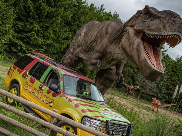 See the mighty tyrannosaurus rex on show at Hoo Zoo at the weekend