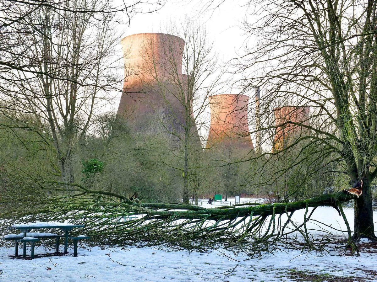 At least 100 large trees fell when heavy snow landed in the Ironbridge Gorge