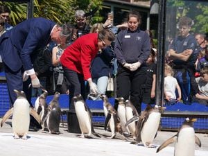 Princess Royal feeding penguins