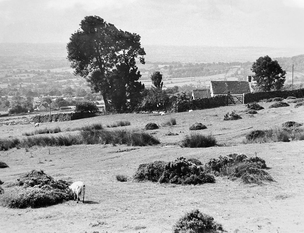 Wow, just think how many houses you could build on this... They seem to be building houses everywhere at the moment, but at least Shropshire continues to have some wonderful countryside, and will continue to boast views like this 1982 vista from the slopes of Clee Hill.
