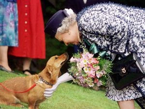 The Queen was well-known for her love of corgis