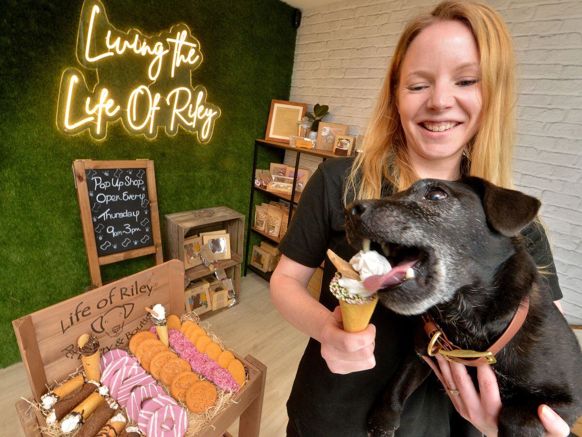 Sarah Meredith and her dog Riley getting ready for the opening of their pop-up shop.