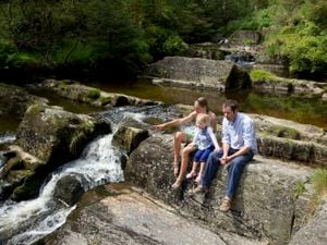 One of the waterfall walks to be found in the beautiful Hafren Forest, near Llanidloes