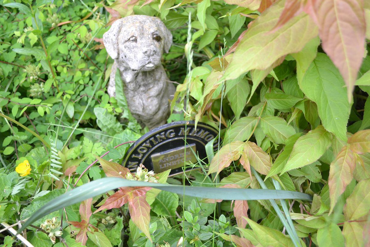 The dog statue peers out over the vegetation.