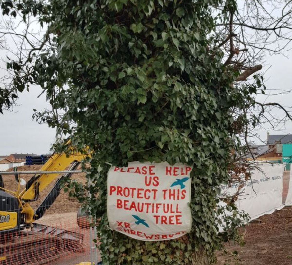 A sign on the tree in Harlescott