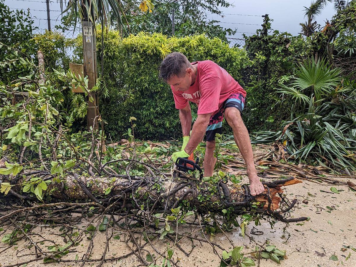 Vanuatu tree clearing after storm