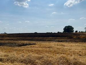 The burnt out crops. Photo: Shropshire Fire & Rescue