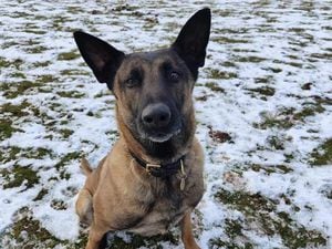 PD Stevie. Picture; West Mercia Police