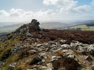 Wildlife group spend £40,000 on land at Stiperstones