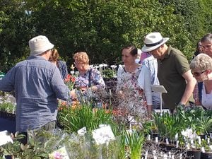 Easter Spring Plant Fair Returns to the Dorothy Clive Gardens