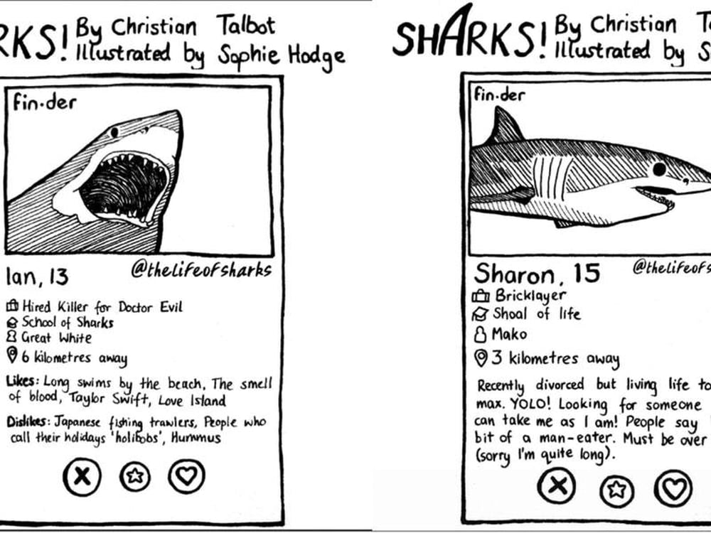 Sharks dating