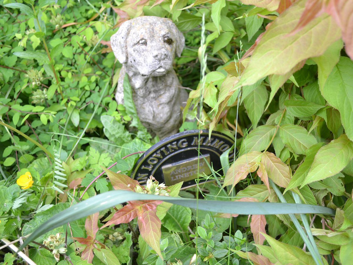 The dog statue peers out over the vegetation.
