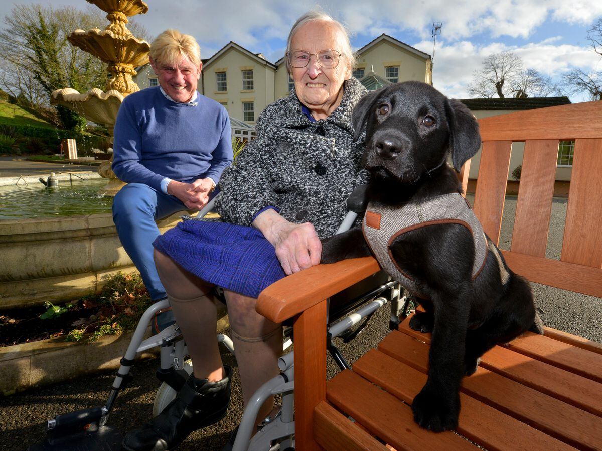 Cooper is the newest resident in town. Giving him a fuss is 90 year old Sylvia Brown with boss Les Jones.