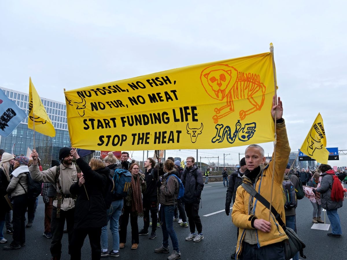 Dutch Climate Activists Bring Amsterdam Highway to a Standstill, Demand Immediate End to Fossil Fuel Financing