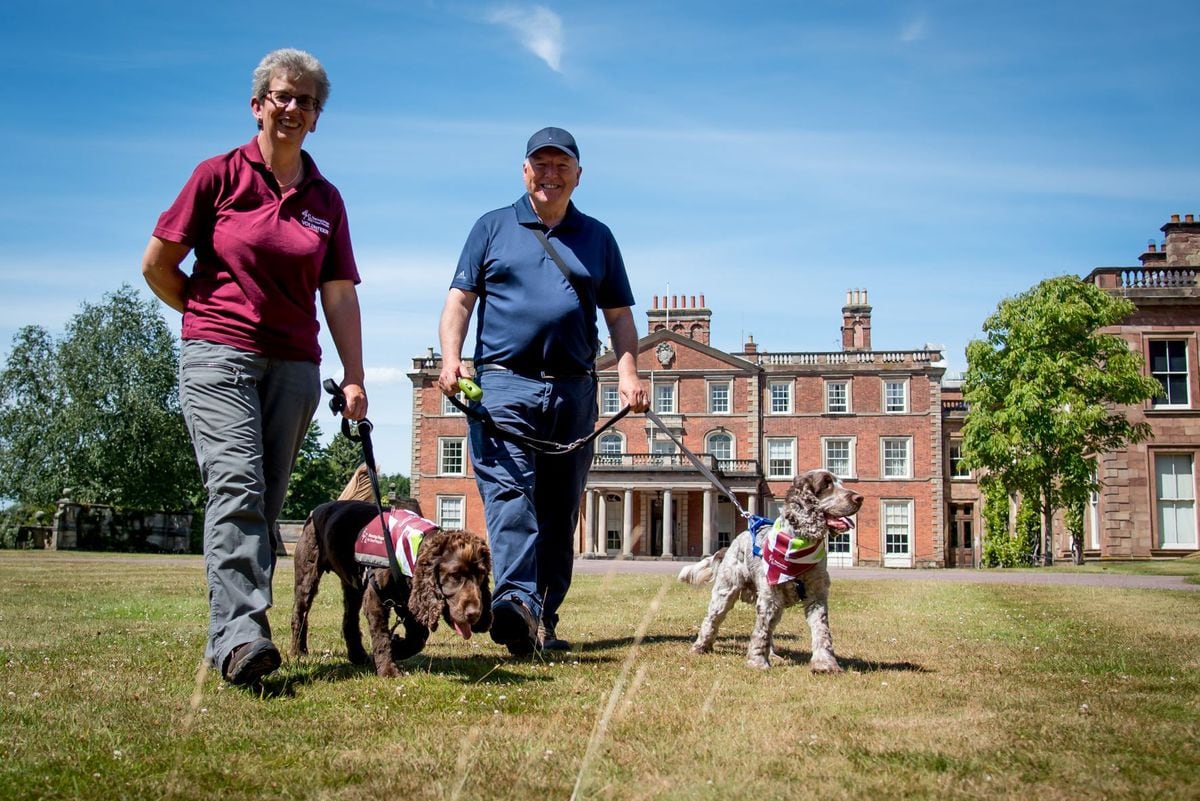 You can join The Great British Dog Walk at Weston Park