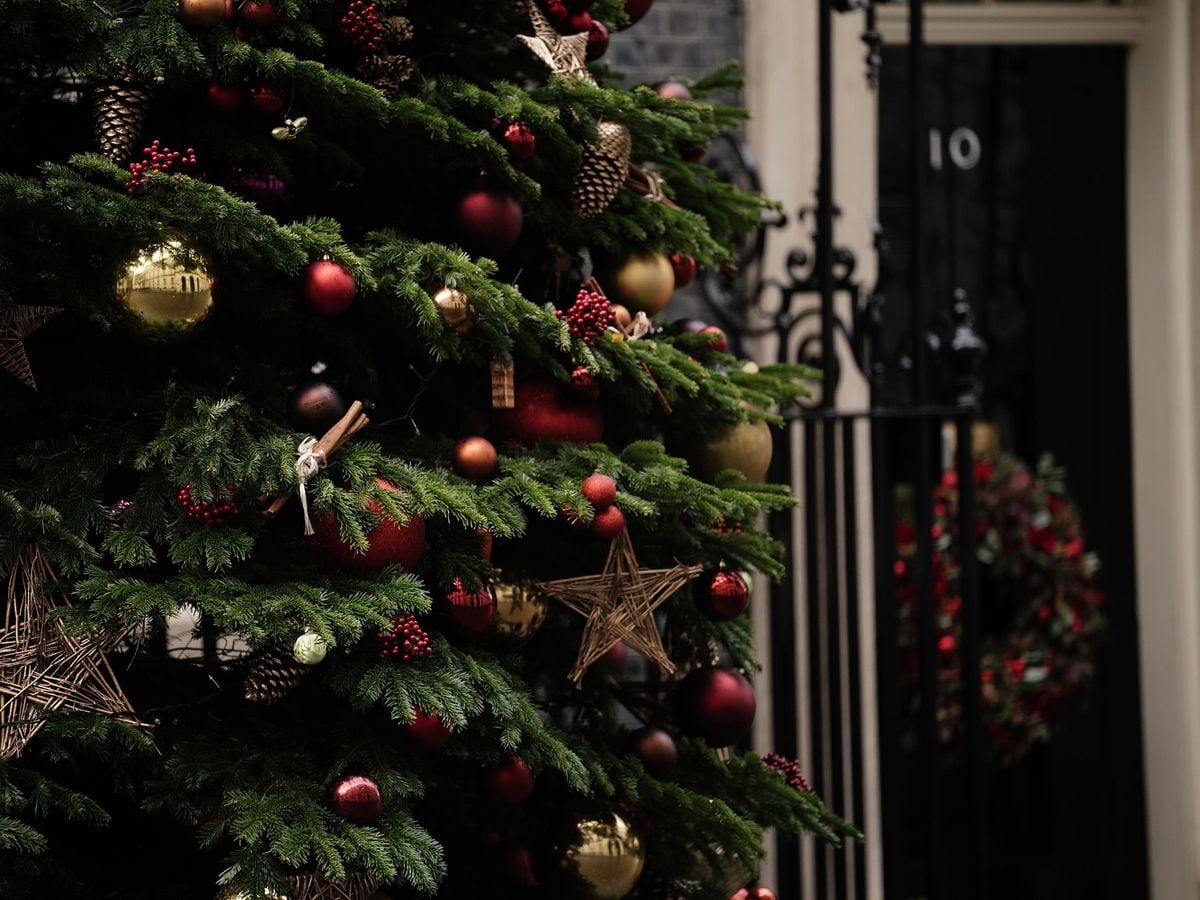 Downing Street Christmas tree