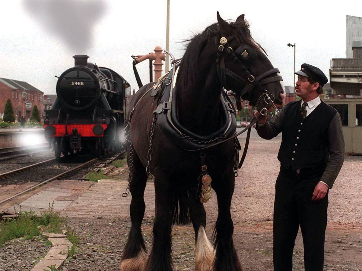 Ian Cryer with his heavy horse Truman at the Severn Valley Railway.