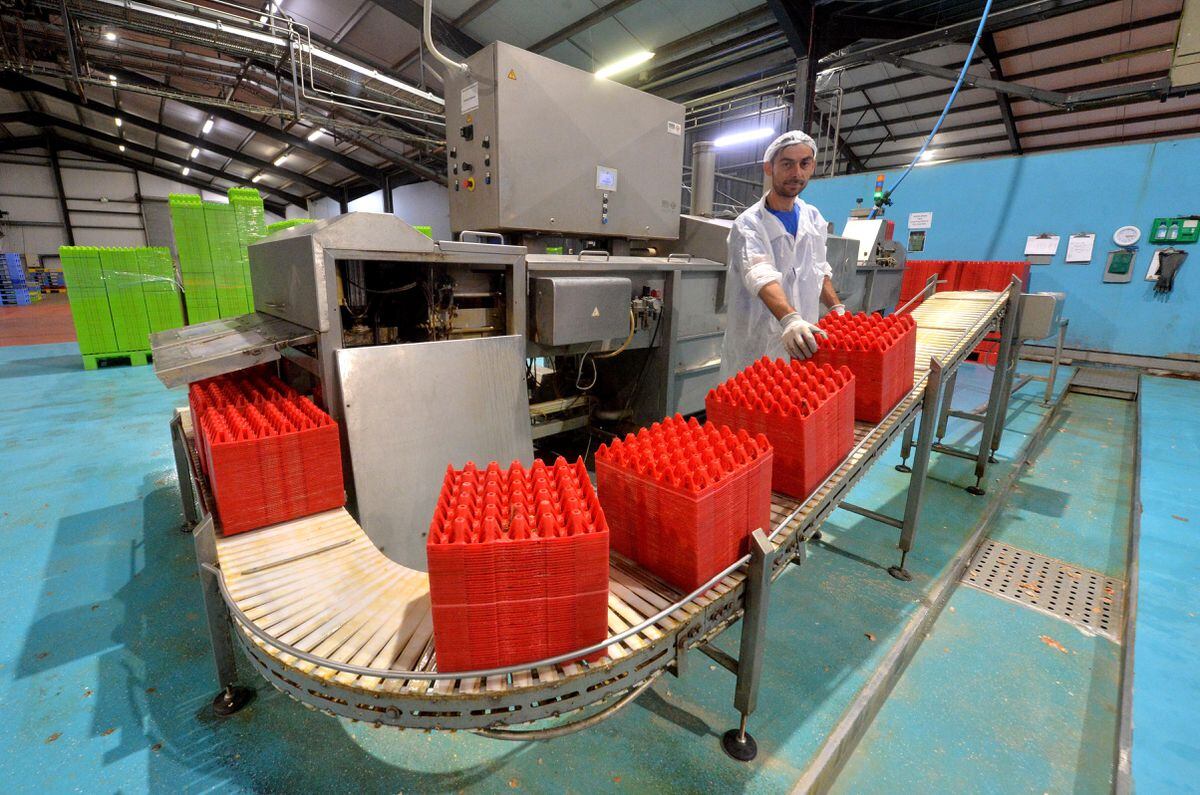 Inside the packaging facility