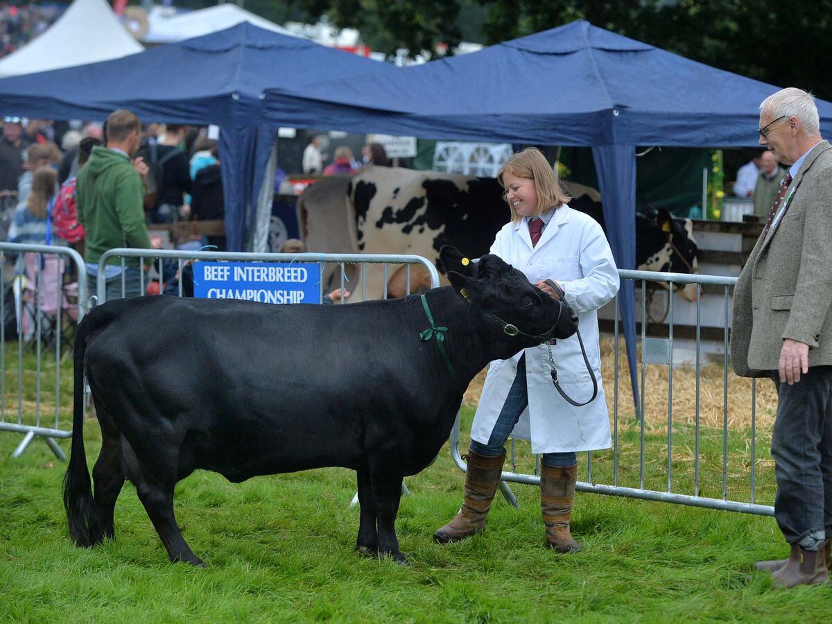 Tickets for this year's Burwarton Show now on sale 