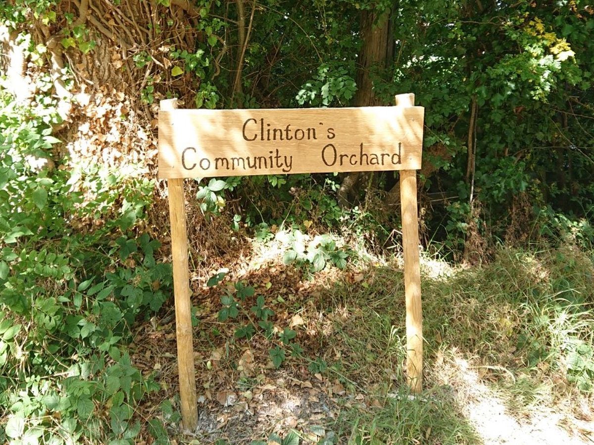 The oak sign bearing the orchard's new name