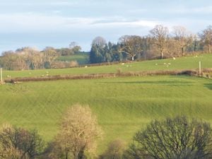 The field where a slurry lagoon could be built at Newbridge farm near Meifod.