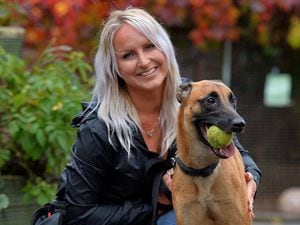 Shropshire Canine's Cheryl Gibson with Indi the Belgian Malinois