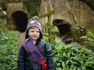 Three-year-old William on one of his daily fundraising walks
