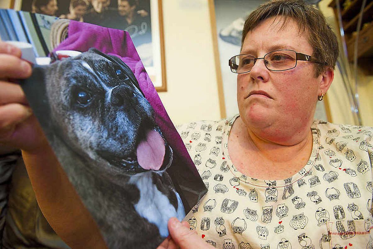 Shropshire woman's heartbreak over pet crematorium ashes mix-up