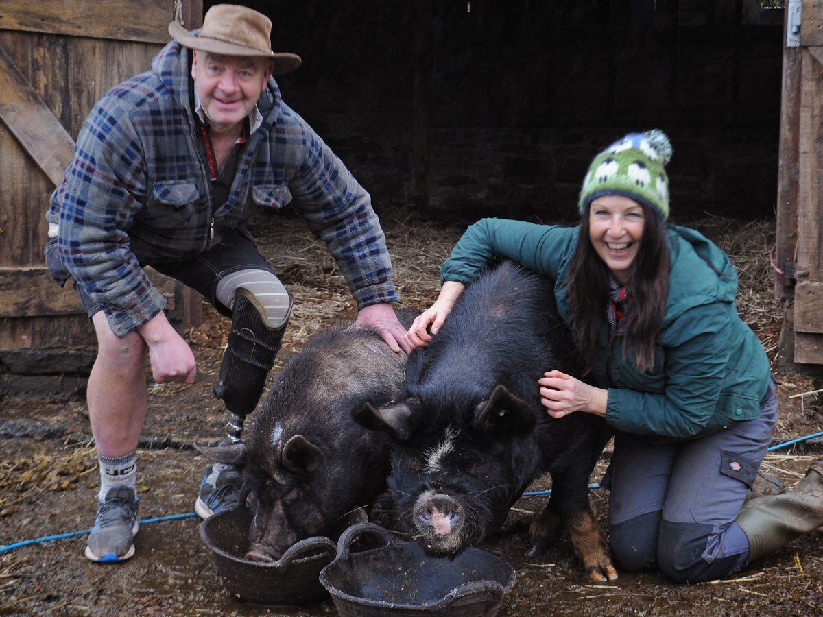 James and Tina with pigs Priscilla and Truffles at Brook House Animal Sanctuary