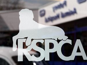 The man claimed to be an RSPCA inspector