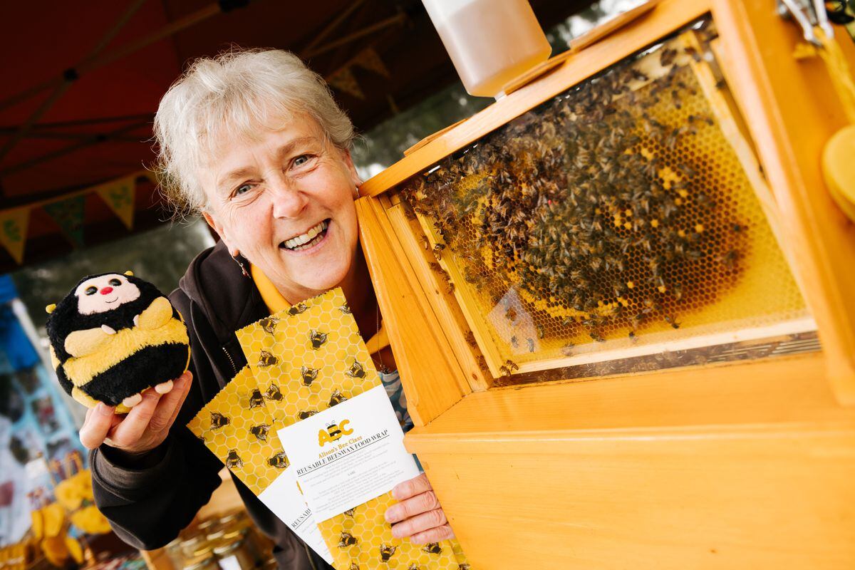 Weston Park Summer Fiesta 2023 In Picture: Alison Wakeman of Alison's Bees