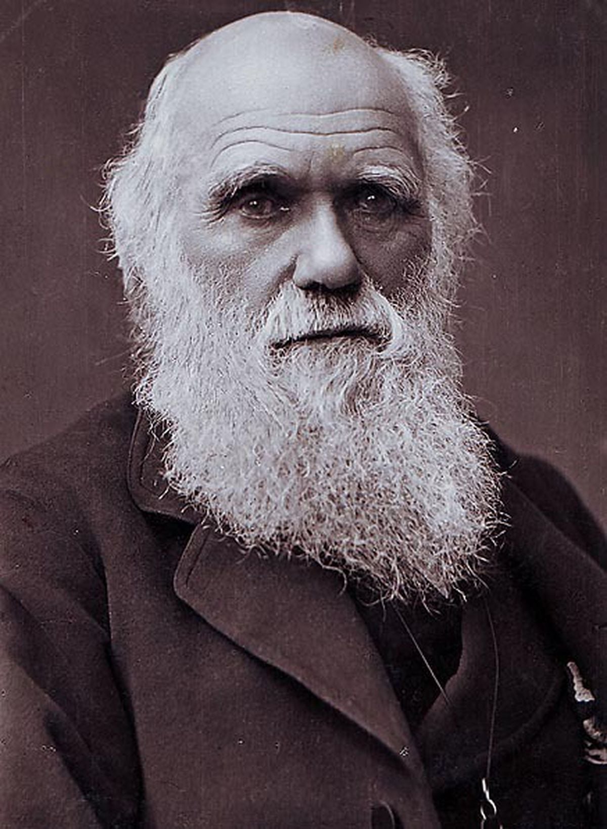 charles darwin biography wikipedia
