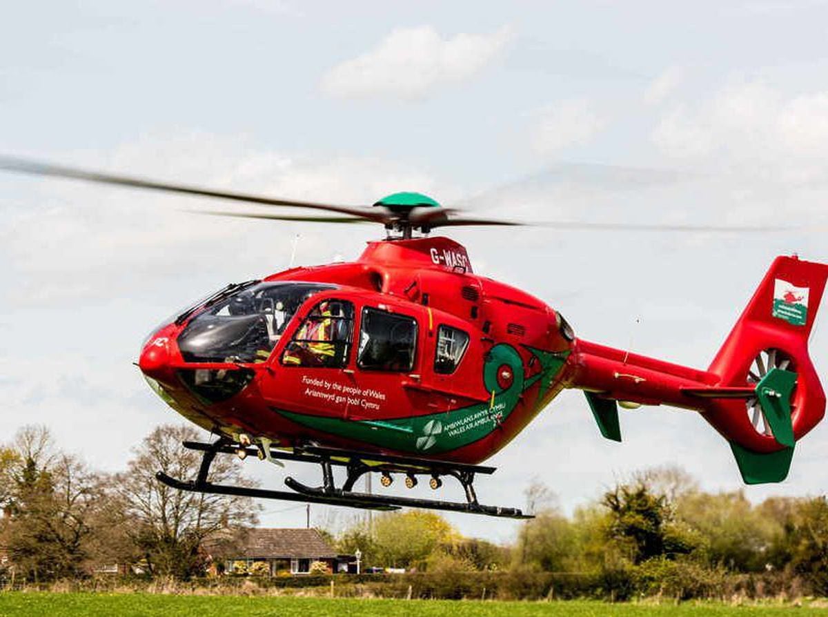 Welsh assembly hears call to keep Wales air ambulance base at Welshpool