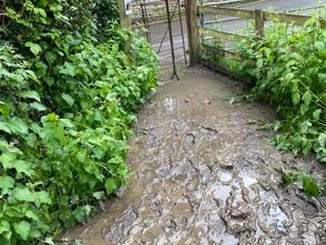 The muddy pathway in Much Wenlock (picture: Tina Rush, Twitter)