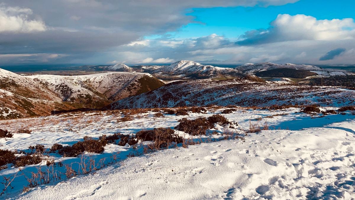 Snowy scenes from the Long Mynd in Church Stretton. Pic: Julie Powell
