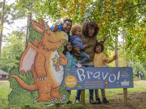 Haughmond Hill will be hosting the new Zog trail from February 3.