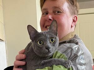 Lily the cat was rescued by Shropshire firefighters 