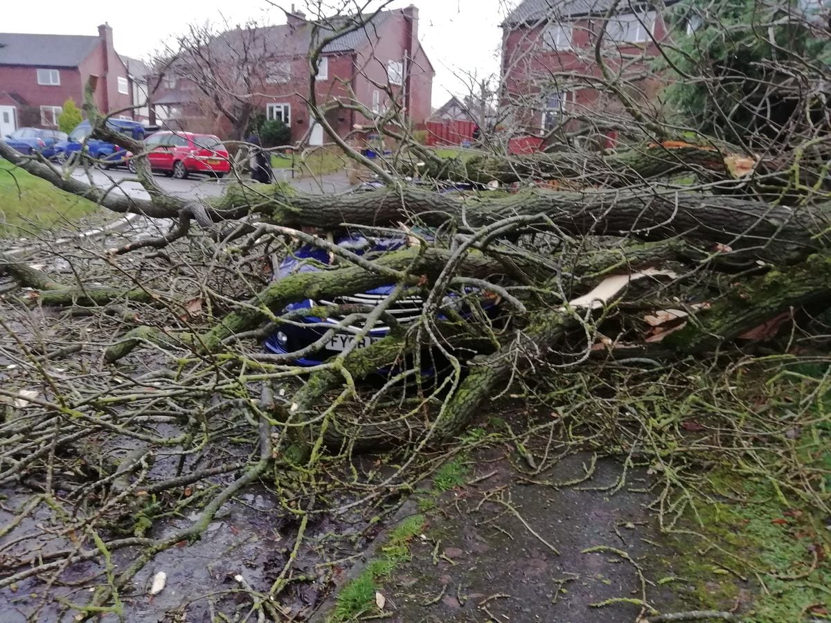 Storm Ciara: Trees down and roads flooded as Shropshire hit hard ...