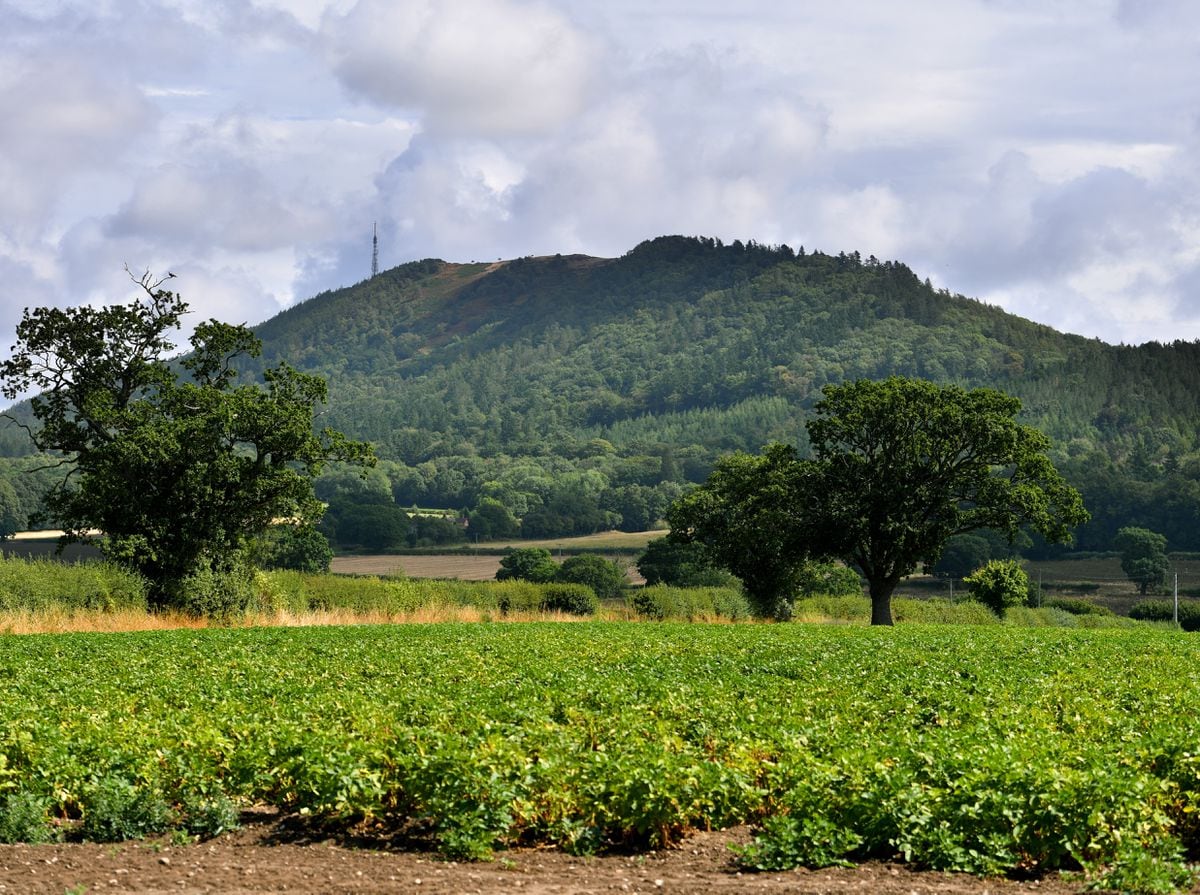 A brand new, ground-level image of the Wrekin. It wasn't so tree-covered during the Iron Age. 