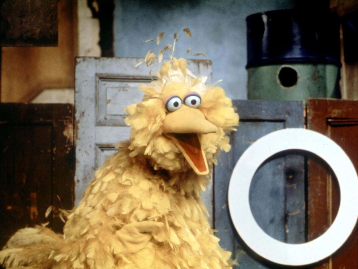 Big Bird on the children's programme Sesame Street