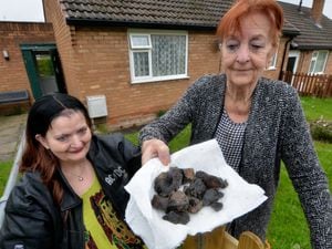 Louise Whitfield and Rose Phillips, with rocks found in their garden 