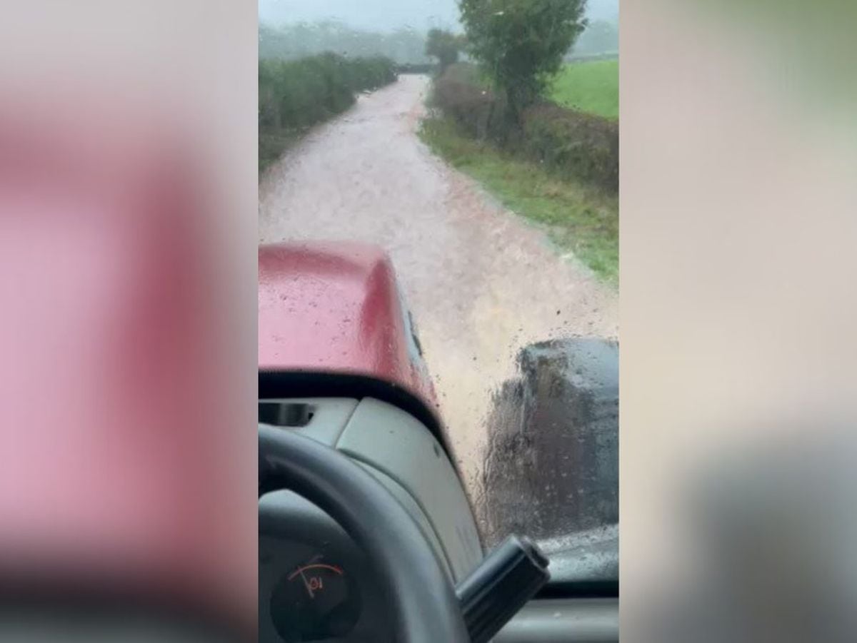 Loaves and fish (fingers): 'Miracle' farmer drove through floods to feed hungry church school kids 