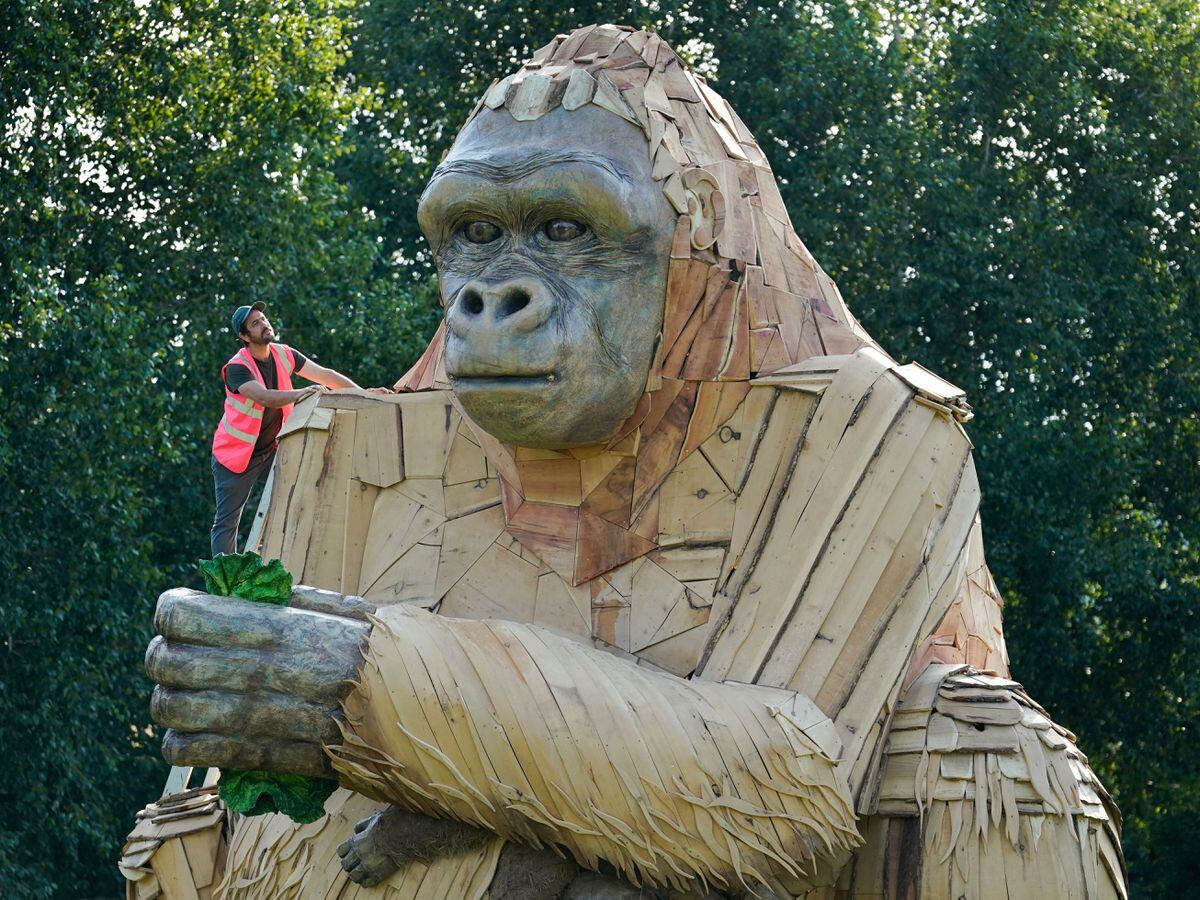 Bristol Zoo Gardens gorilla sculpture