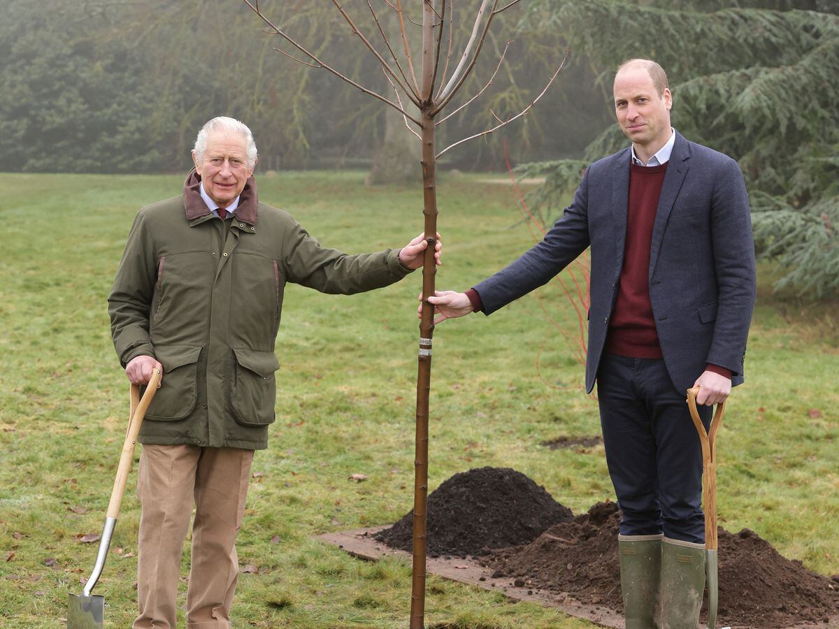 Queenâs Green Canopy project, King and Prince of Wales